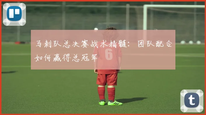 马刺队总决赛战术精髓:团队配合如何赢得总冠军